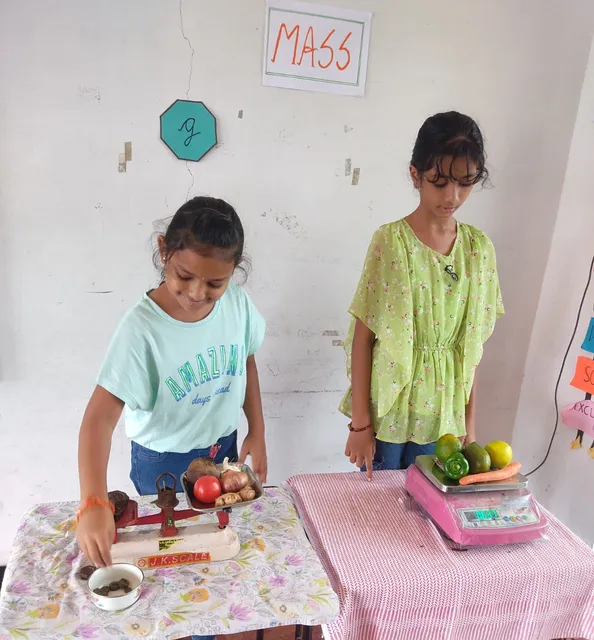 Grade 4 students learning to measure mass with traditional scales by weighing fruits and vegetables in a science class.