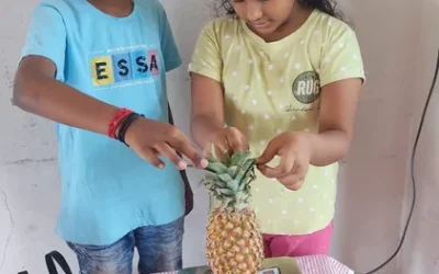 Mass and Volume: 4th Std CBSE School Salem