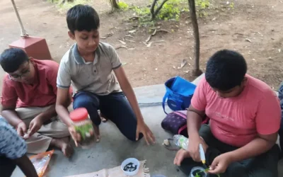 Crafting Terrariums in Geography: 7th std – CBSE School Salem