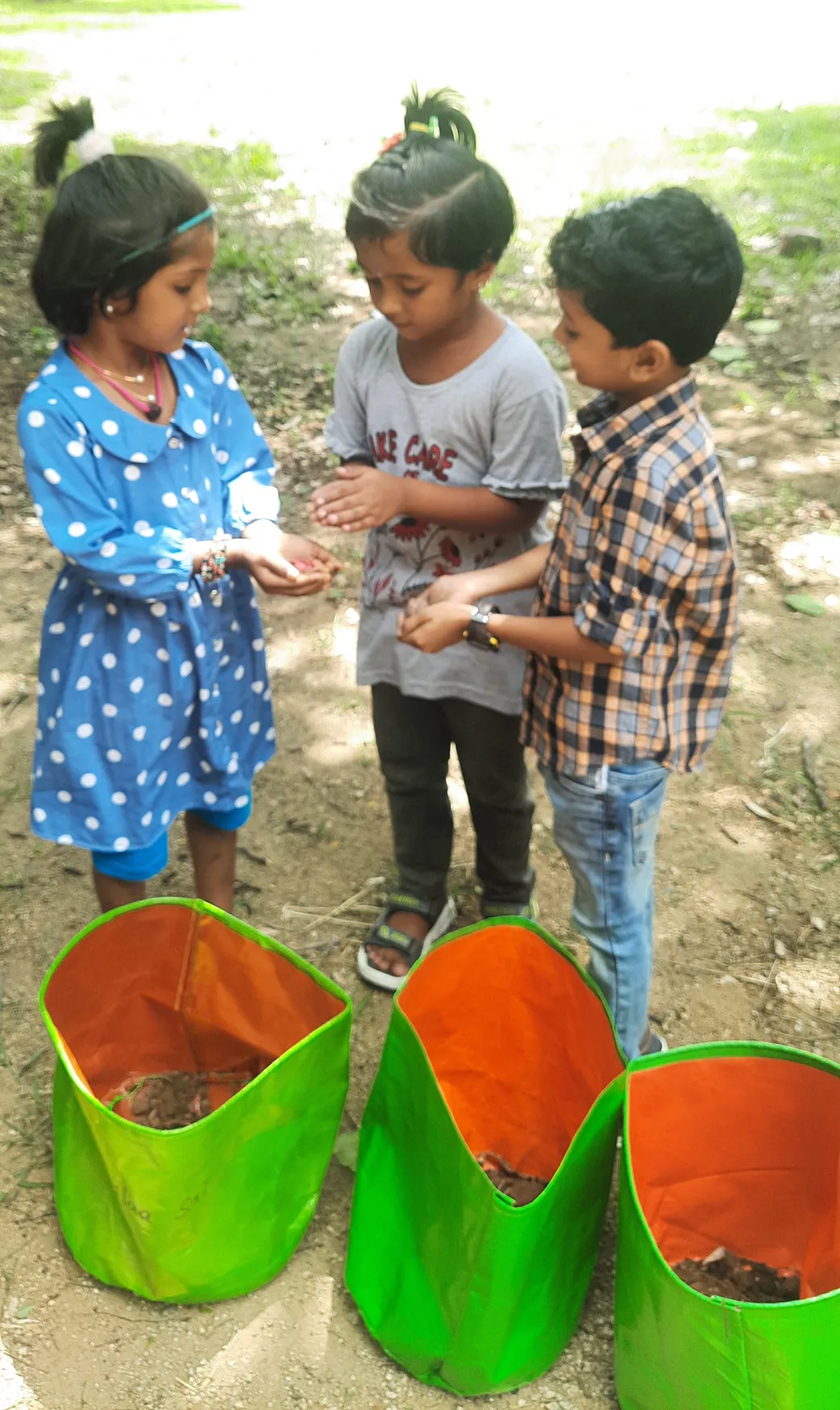 Ukg gardening Activity 4_result Gardening Activity