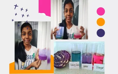 Acids and Bases Exploration: A 9th std Home Experiment