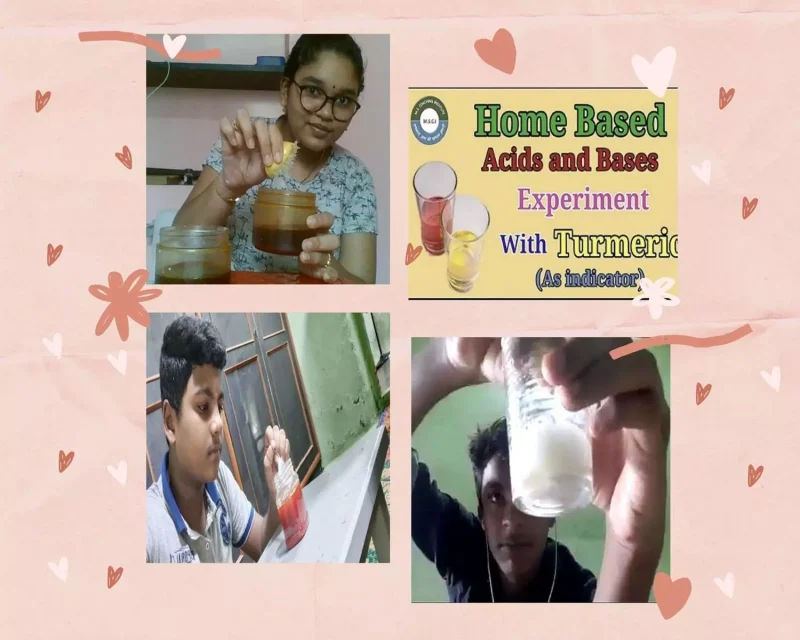 Grade 9 students from the best CBSE school in Salem conducting an acids and bases experiment with natural indicators at home