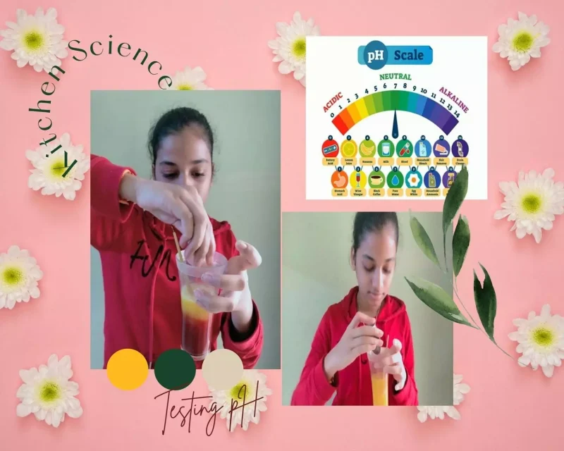 Salem's best CBSE school students exploring acid-base reactions using red cabbage and turmeric powder
