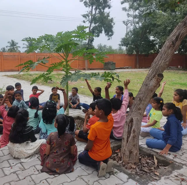 Eager students in Salem exploring a papaya tree, learning about plant biology as part of their curriculum at one of the best schools in the region.