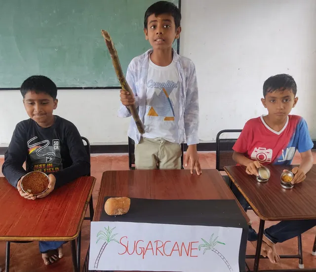 Fourth-grade students present a sugarcane exhibit, complete with raw sugar samples, during an agriculture activity at a top CBSE school in Salem.