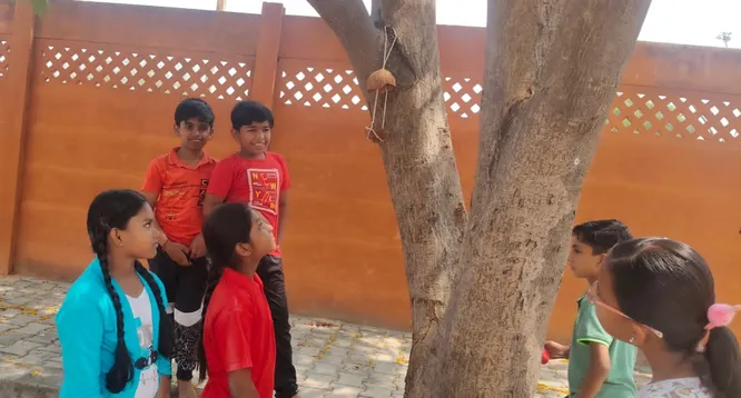 Students at a Salem CBSE school observing a bird feeder they installed on a tree.