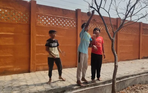 Making Bird Feeders - young learners adjusting a bird feeder on a tree branch in their school yard.