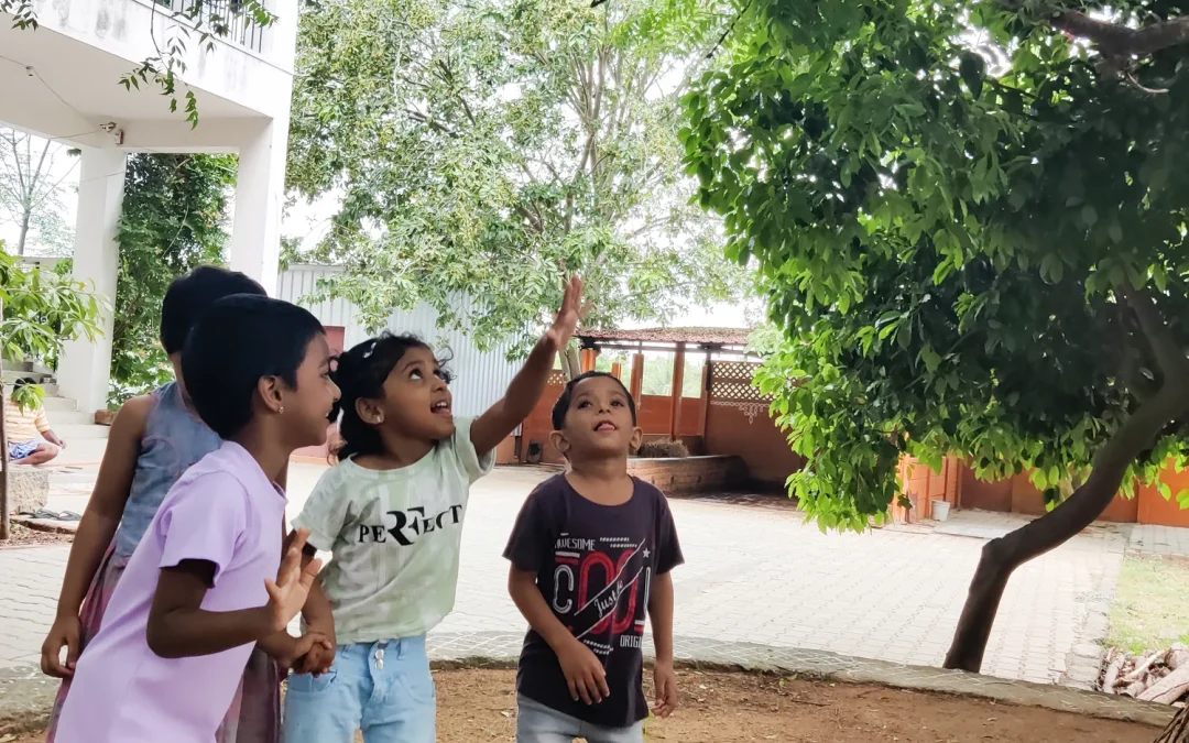 Nature Watch – LKG