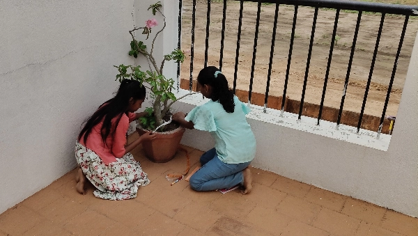 Girls using a measuring tape to find the circumference of a plant pot at a CBSE school in Salem.