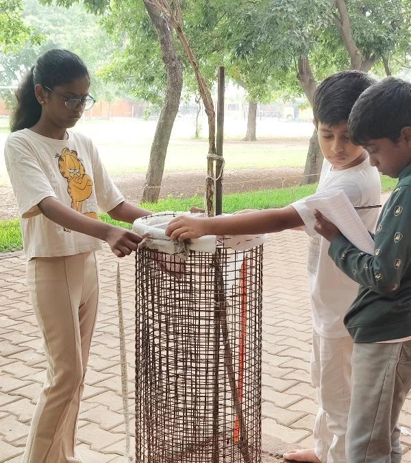 Circumference of Things: 5th Std
