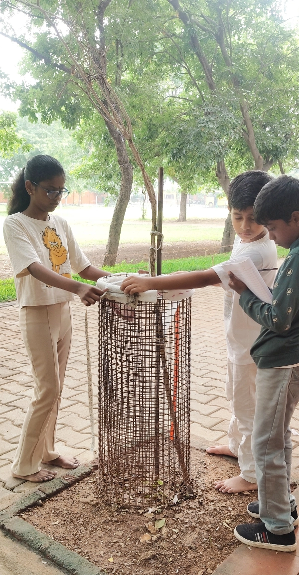 IMG_20240817_231118_copy_600x1154 Children measuring the circumference of a tree guard during a practical math lesson at a top school in Salem.