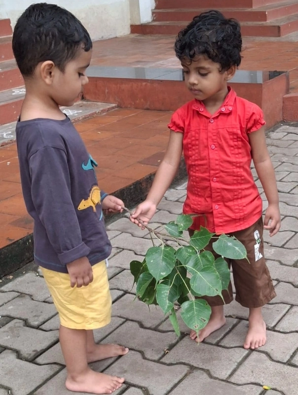 Young learners examining Peepal leaves at CBSE school in Salem