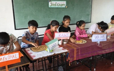 Agriculture and Minerals – 4th grade